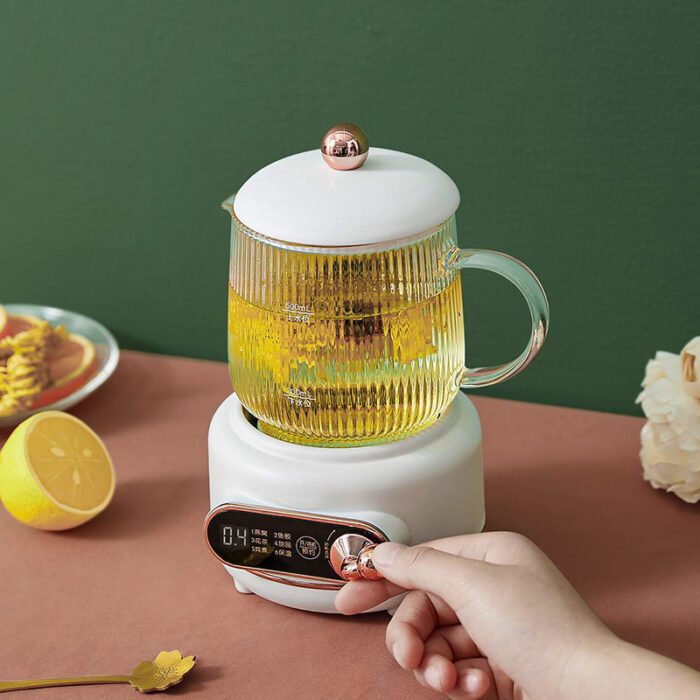 多功能养生壶-Multi-functional health kettle