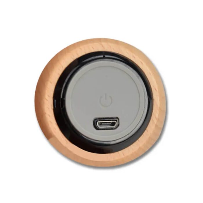 Eco-friendly wooden bluetooth speaker